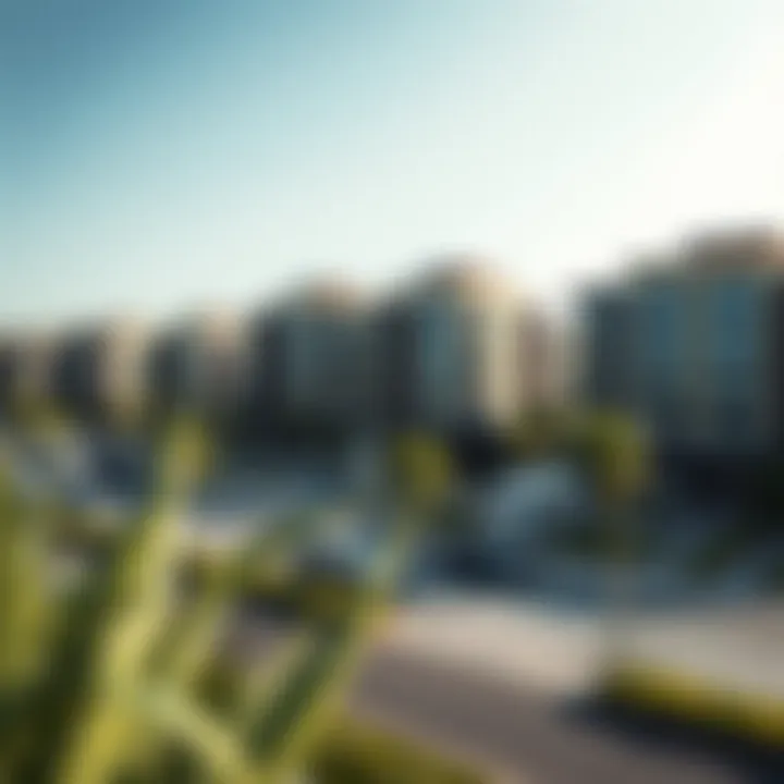 Sustainable urban landscape crafted by Imtiaz