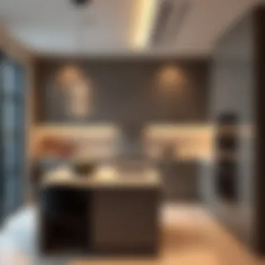 High-End Contemporary Kitchen Contemporary kitchen with high-end finishes