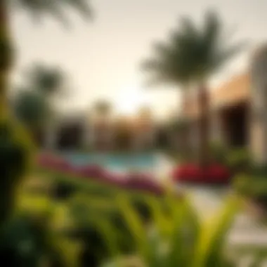 Lush Landscaping in Outdoor Spaces Outdoor area highlighting lush landscaping