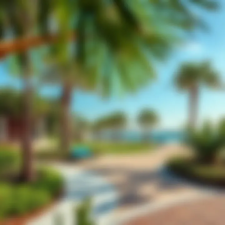 Leisure and Green Spaces at Maryam Island Leisure facilities and green spaces on Maryam Island