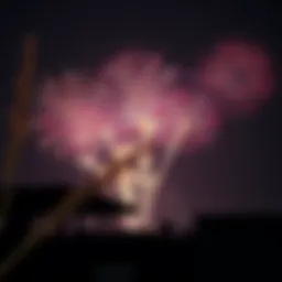 Festive fireworks illuminating the night sky during UAE National Day celebrations