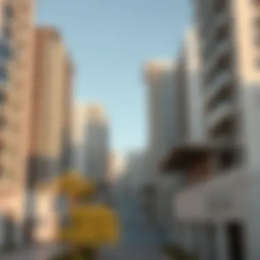 Modern residential buildings in International City highlighting architectural diversity