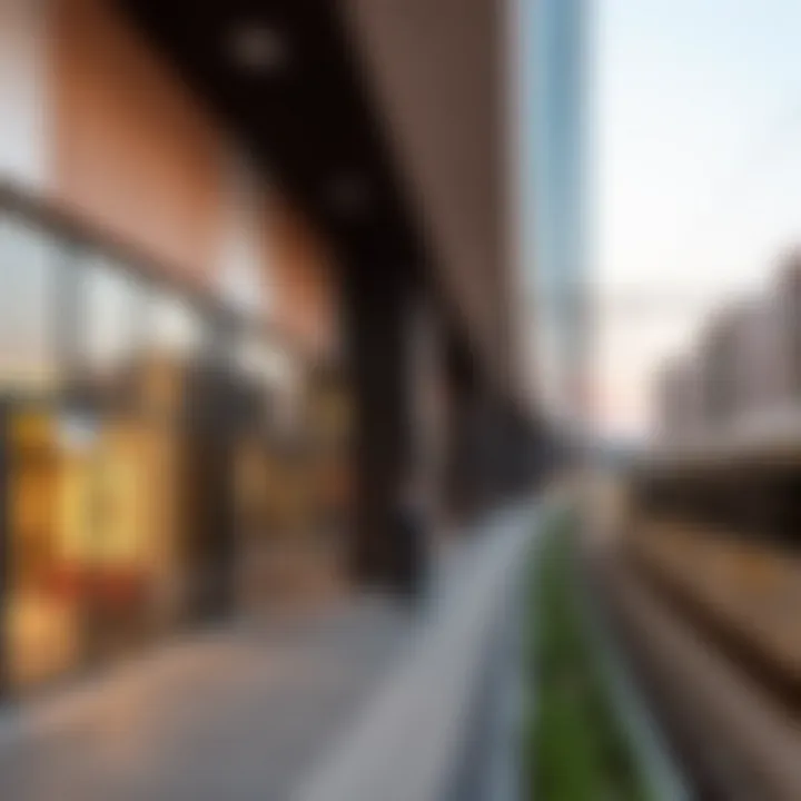Real Estate Trends in Silicon Oasis Infographic on real estate trends influenced by metro access