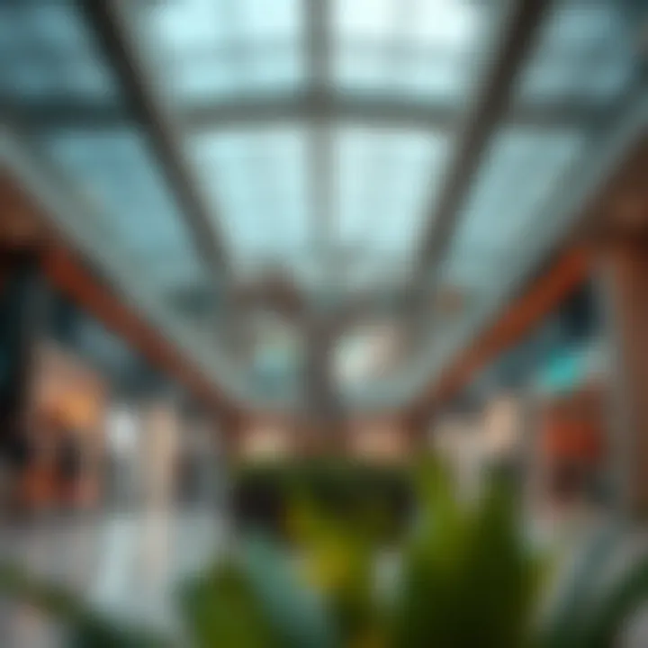 Strategic brand promotions attracting shoppers