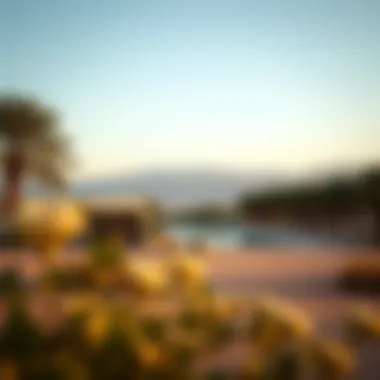 Notable Renting a Farm in Al-Rahba: Insights and Considerations Notable Renting a Farm in Al-Rahba: Insights and Considerations
