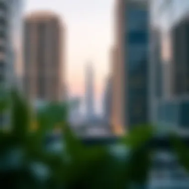 Legal documents and guides for renting in Dubai