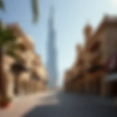 The Dichotomy of Dubai: Old and New Summary The Dichotomy of Dubai: Old and New Summary