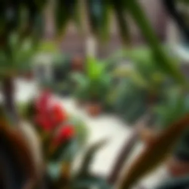 Diverse Flora in Serene Garden Spaces A serene garden space featuring diverse plant species