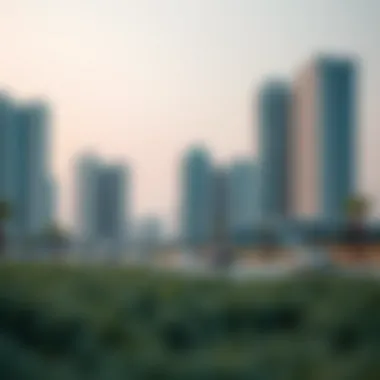 The Untapped Potential of Al Reem Island Park Summary The Untapped Potential of Al Reem Island Park Summary