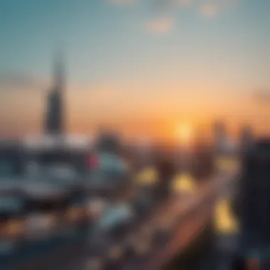 A detailed infographic illustrating various UAE visa types and their associated costs