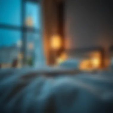 Map highlighting key locations for bed space rentals in Dubai