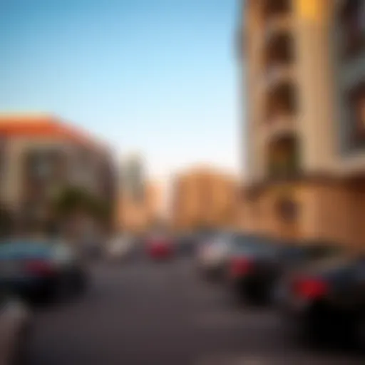 Understanding RTA Parking D Zone Charges Monthly Introduction