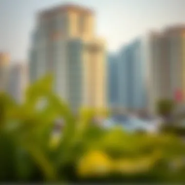 Notable Understanding RTA Parking D Zone Charges Monthly Notable Understanding RTA Parking D Zone Charges Monthly