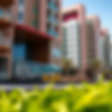 Ensuring Transparency in Dubai's Property Market Visual representation of transparency in the property market