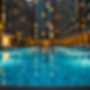 Amenities of Dubai Condominiums Amenities found in Dubai condominiums such as pools and gyms