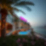 Understanding the Views Palm: A Comprehensive Analysis Introduction